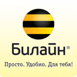 СКИДКА 20% на 12 МЕСЯЦЕВ от БИЛАЙН